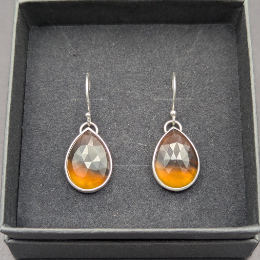 Montana Agate Earrings