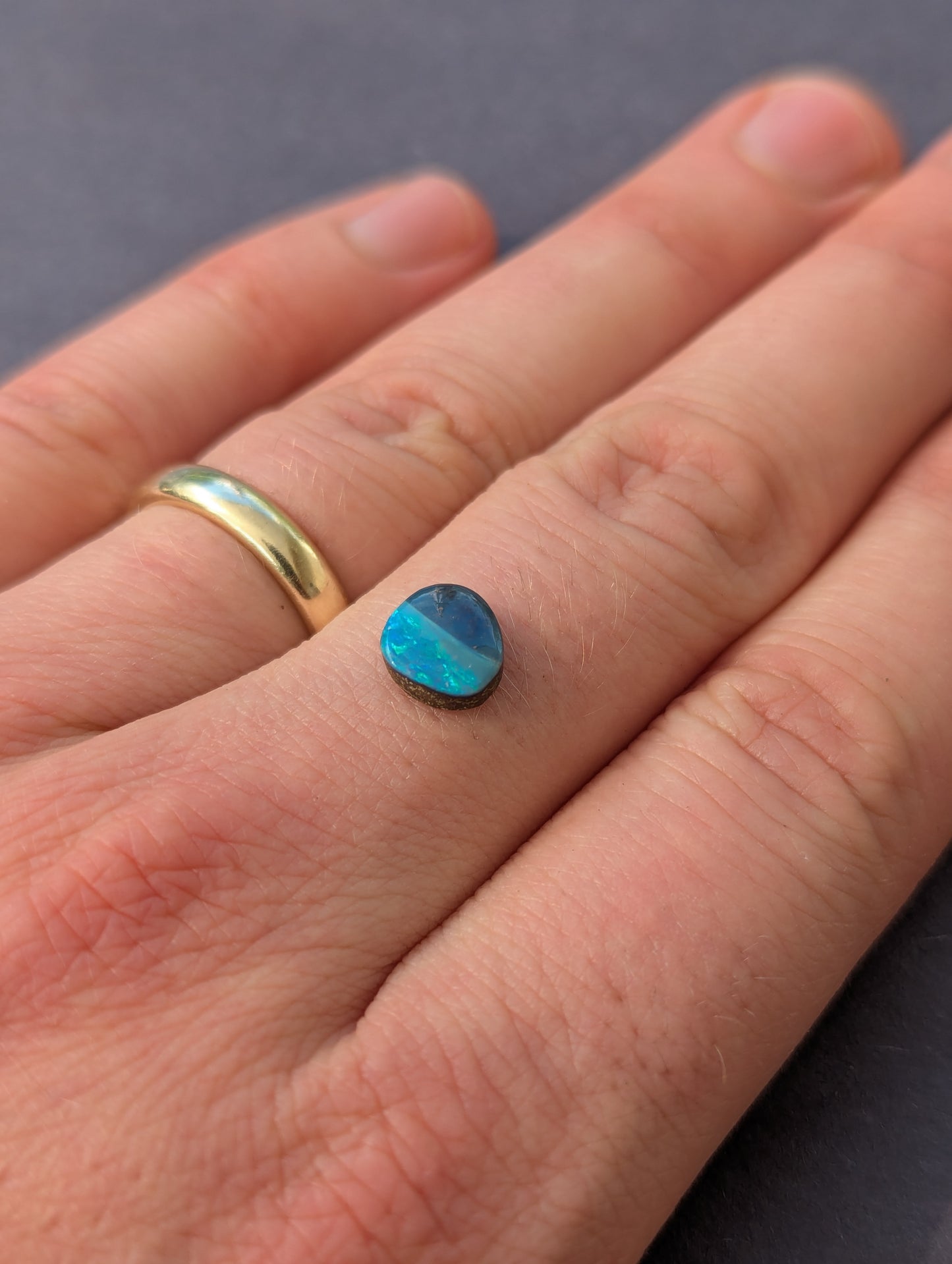 Australian Boulder Opal Polished Stone
