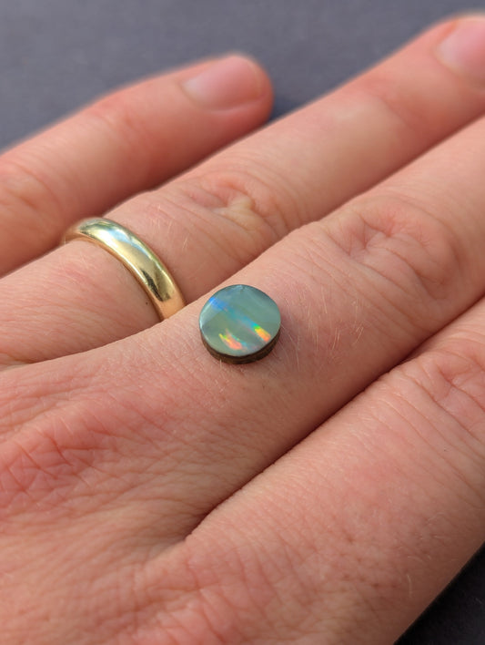 Australian Boulder Opal Polished Stone