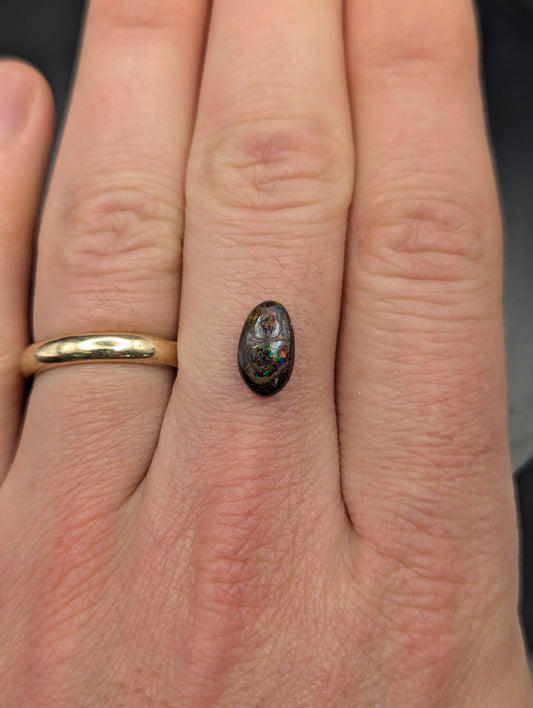 Australian Boulder Opal Polished Stone