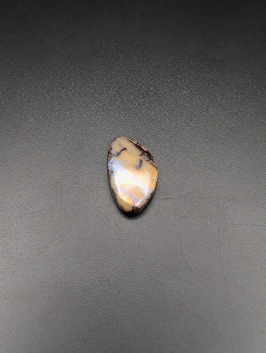 Australian Boulder Opal Polished Stone