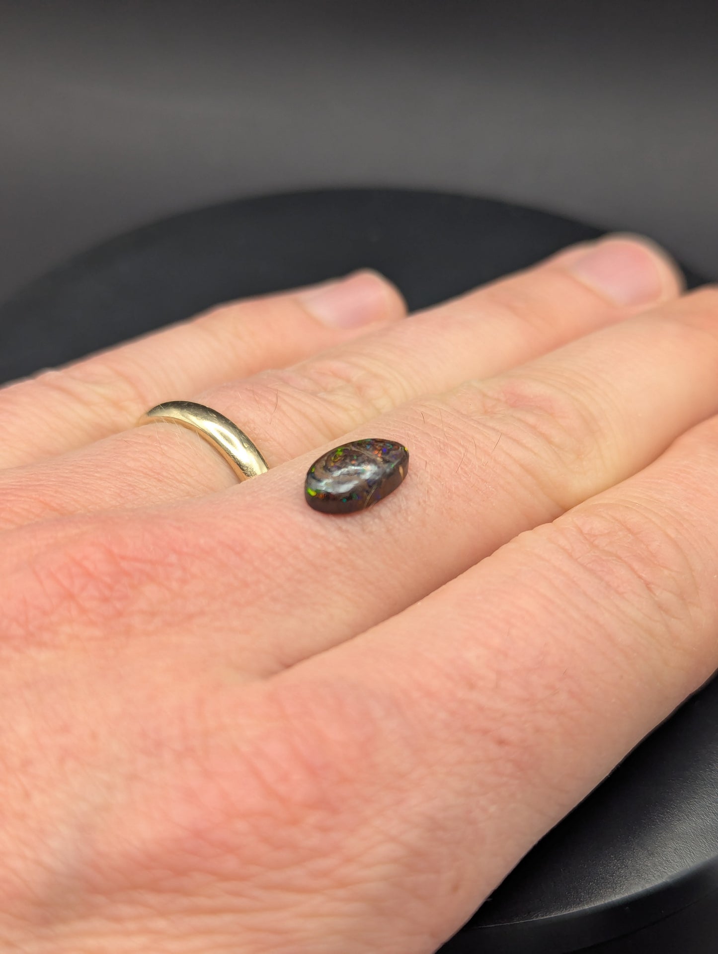 Australian Boulder Opal Polished Stone