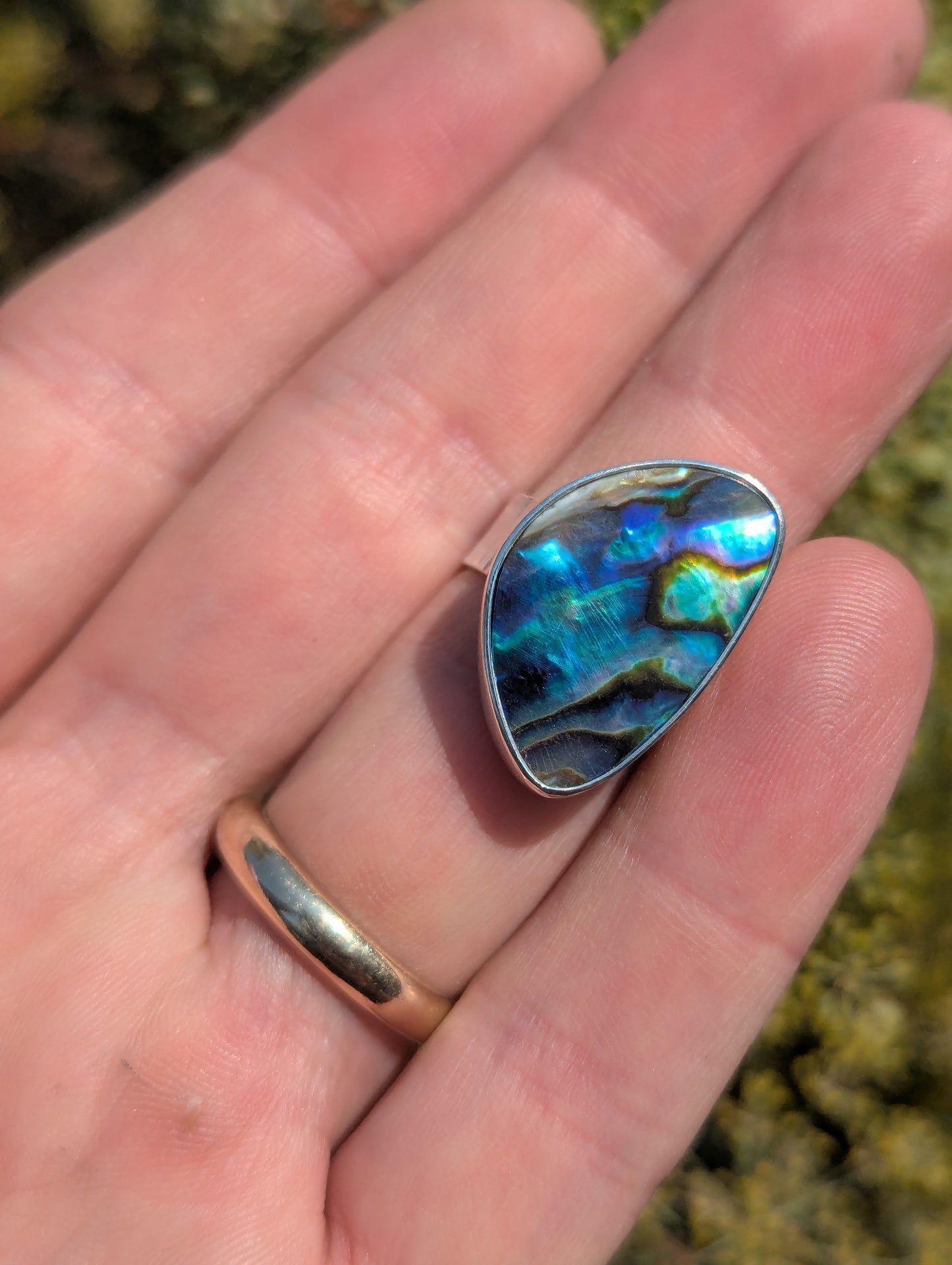 Abalone Shell Ring - Size 7