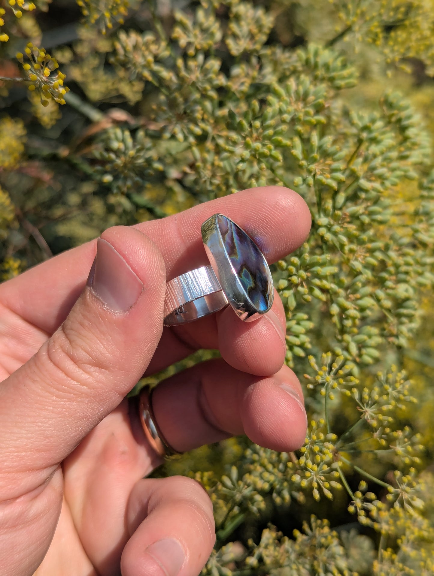 Abalone Shell Ring - Size 7