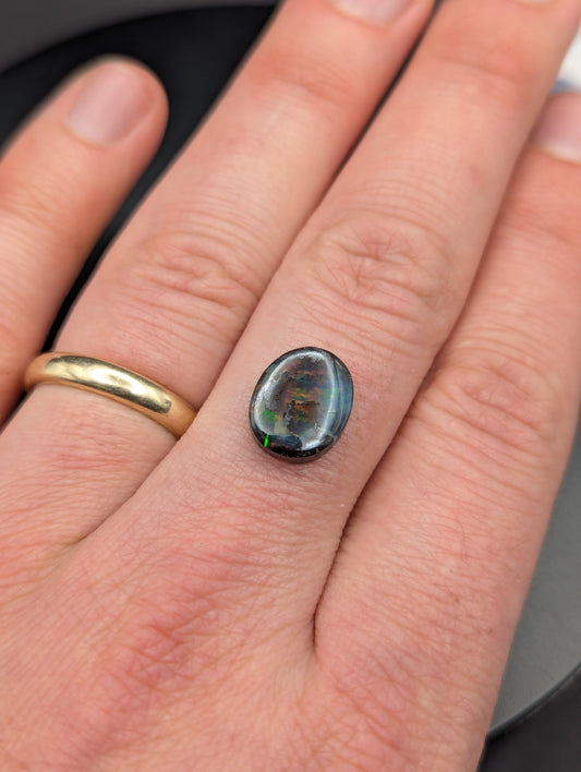 Australian Boulder Opal Polished Stone