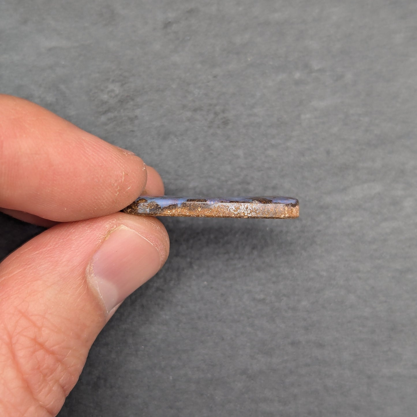 Australian Boulder Opal Polished Stone