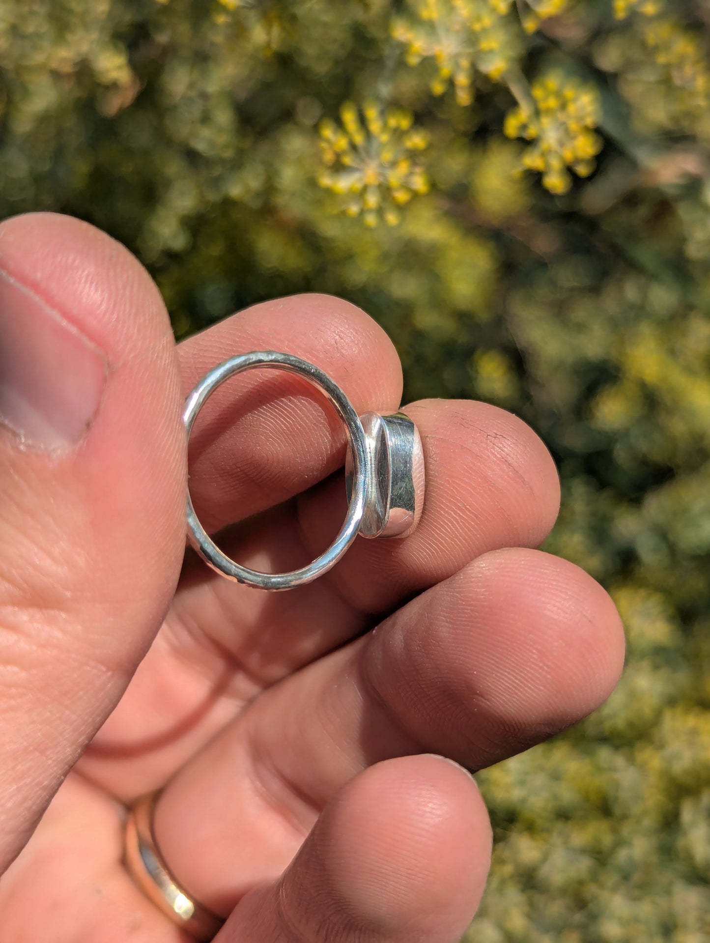 Australian Pipe Opal Ring - Size 7