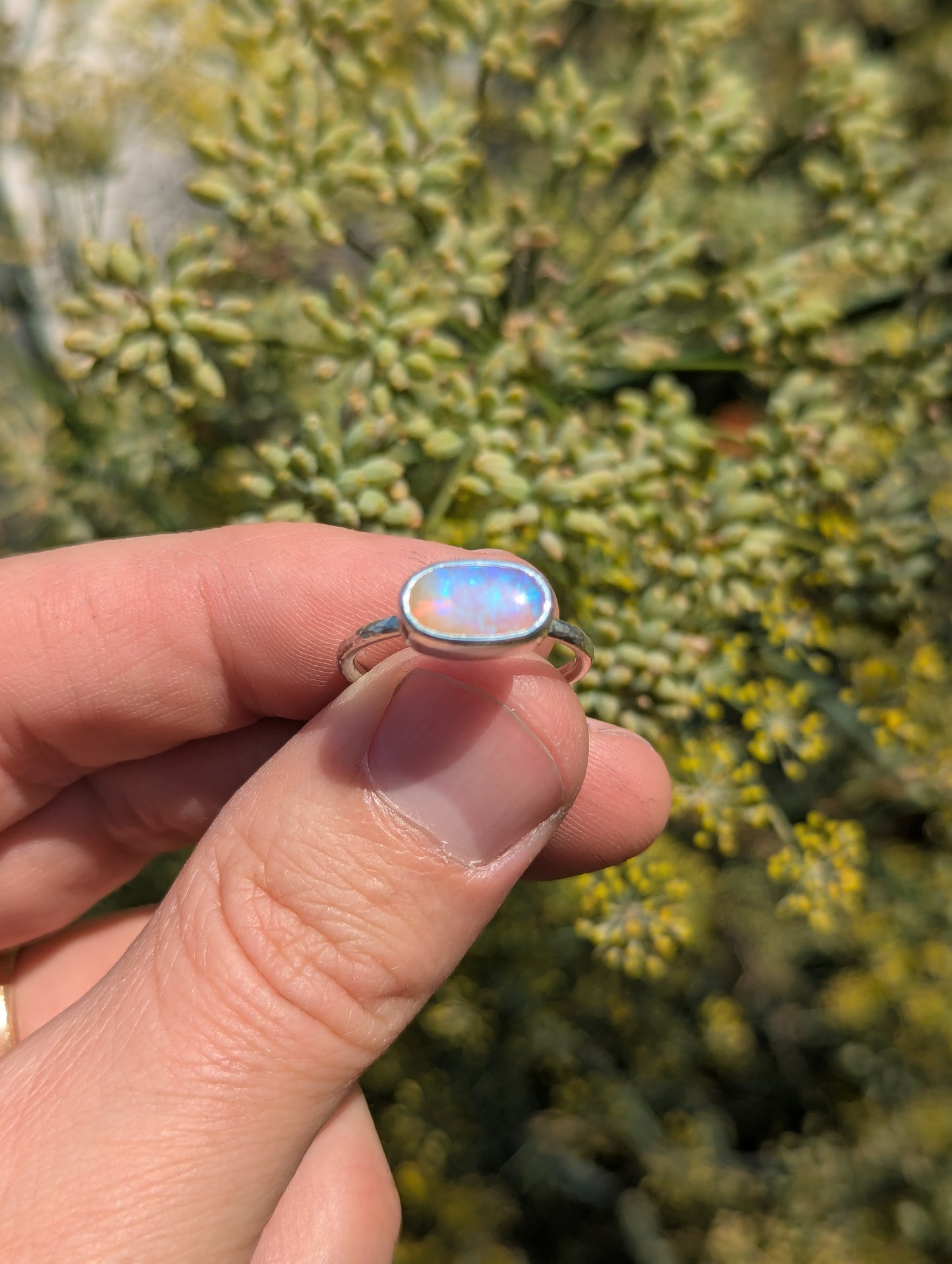 Australian Pipe Opal Ring - Size 7