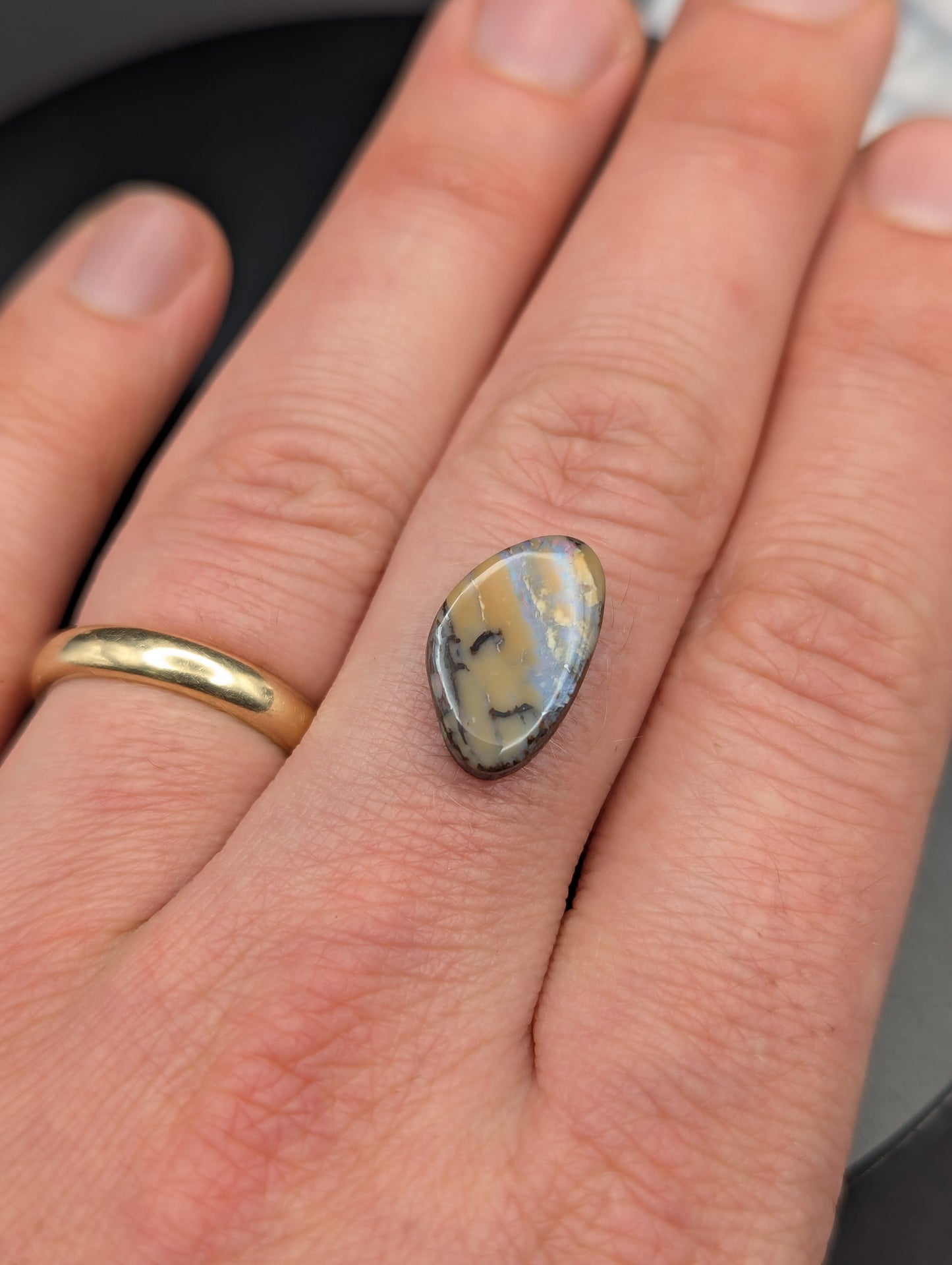 Australian Boulder Opal Polished Stone