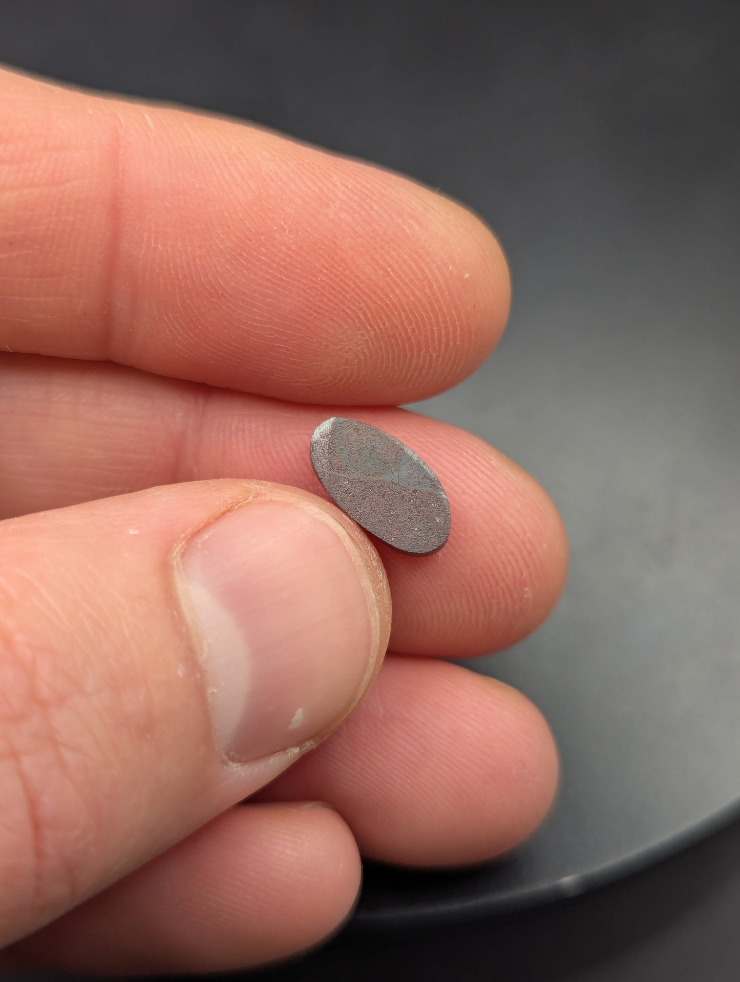 Australian Boulder Opal Polished Stone